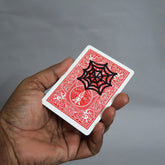 Blink Spider Project